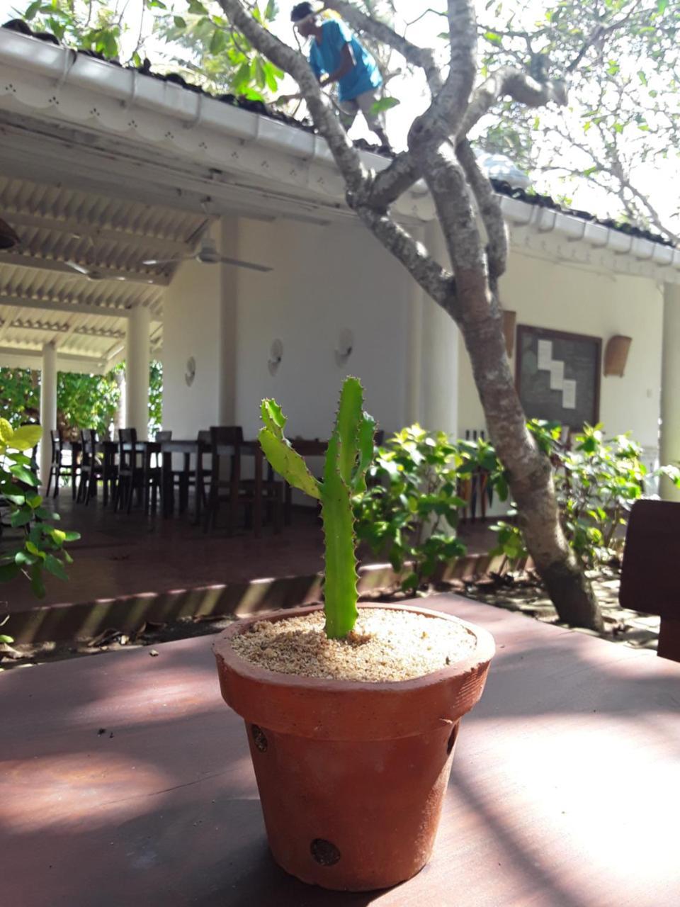 Palm Villa Mirissa Banduramulla Exterior photo